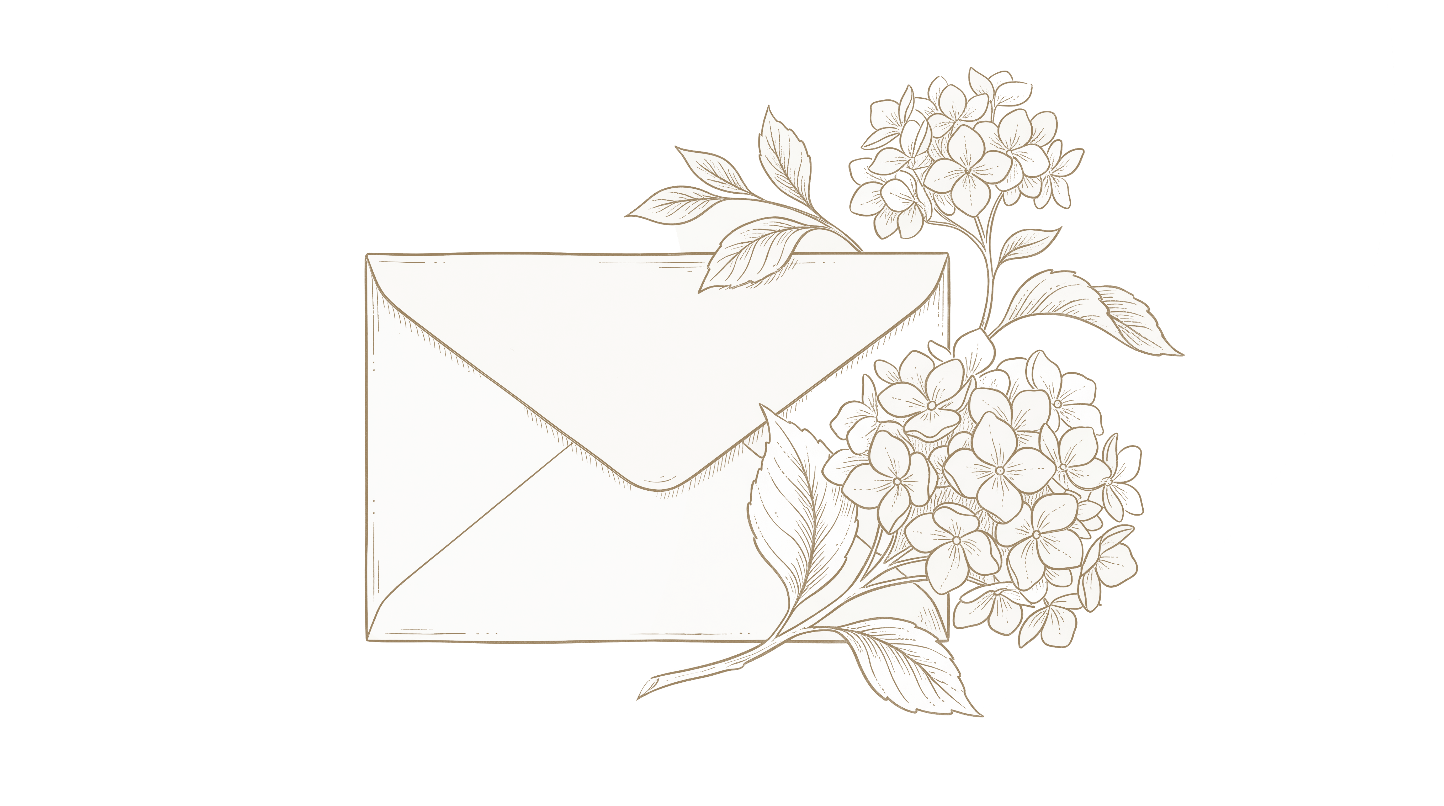 Gift envelope with flowers illustration