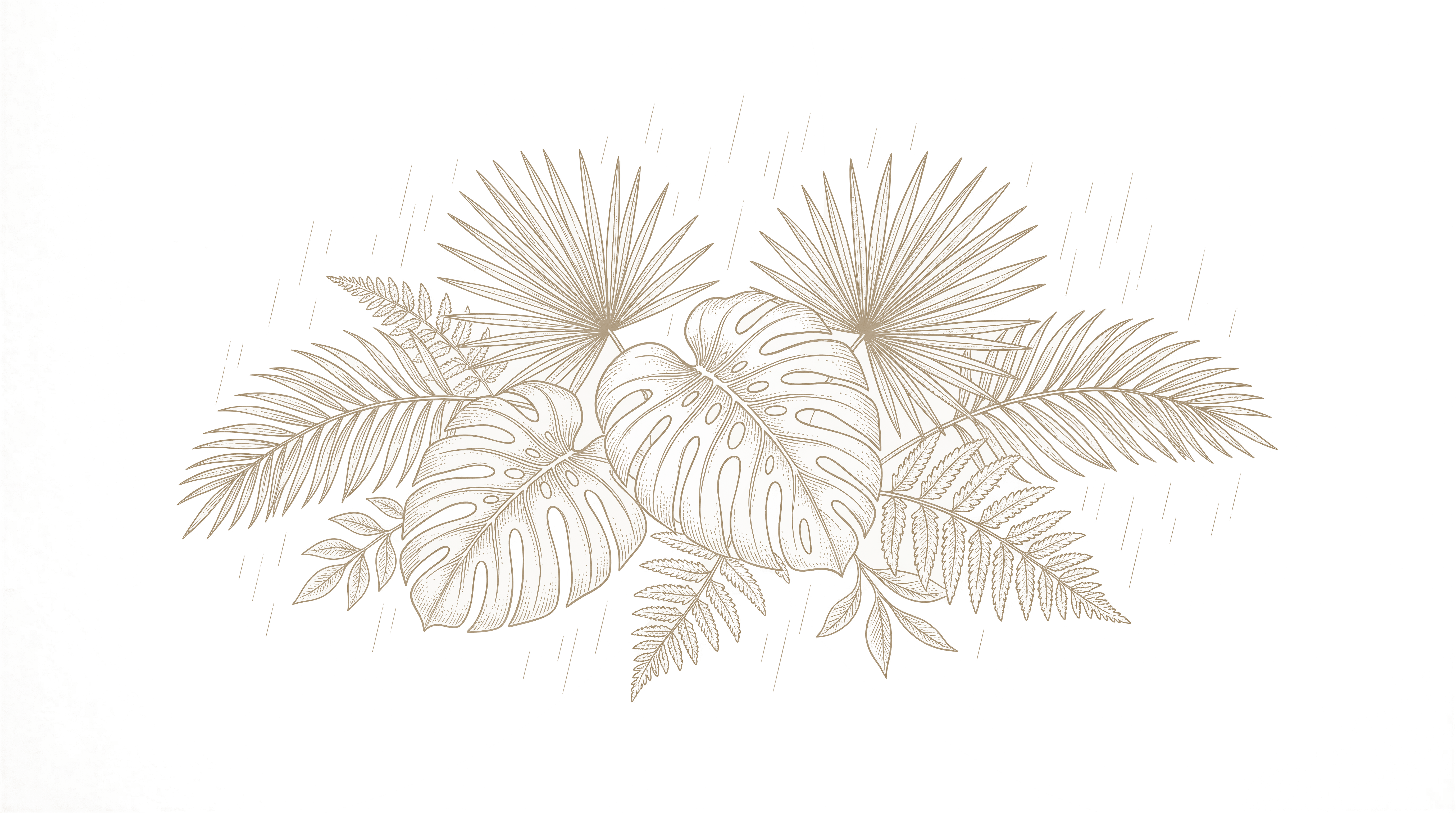 Tropical weather illustration